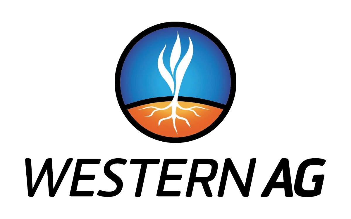 Logo Vertical